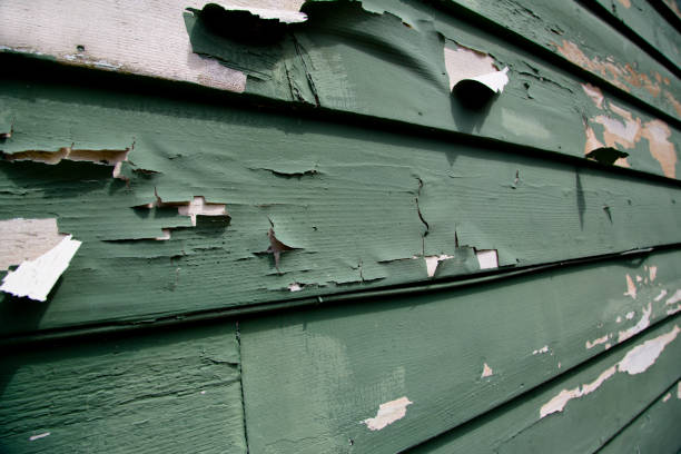 Town And Country, WA Junk Removal Company